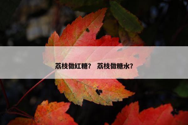 荔枝做红糖？ 荔枝做糖水？