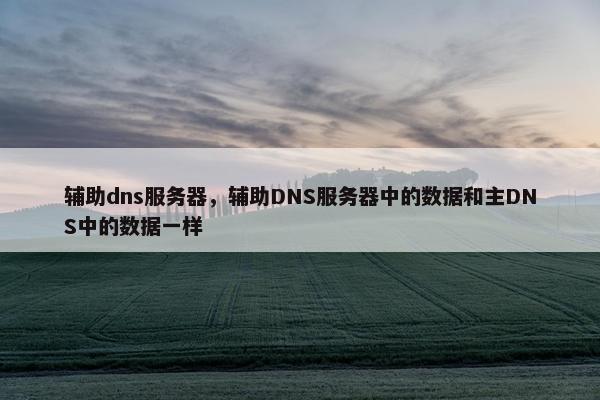 辅助dns服务器，辅助DNS服务器中的数据和主DNS中的数据一样