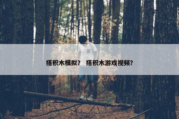 搭积木模拟？ 搭积木游戏视频？