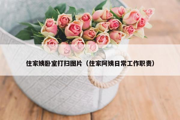 住家姨卧室打扫图片（住家阿姨日常工作职责）
