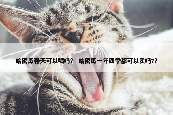 哈密瓜春天可以喝吗？ 哈密瓜一年四季都可以卖吗?？