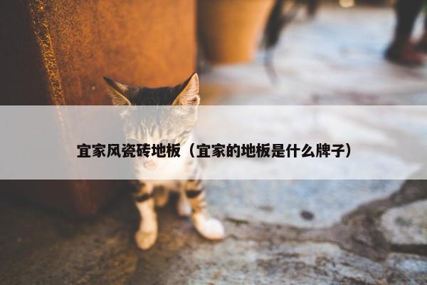 宜家风瓷砖地板（宜家的地板是什么牌子）