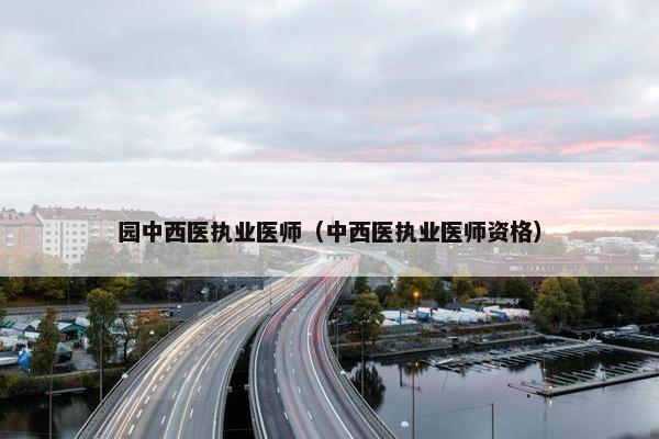 园中西医执业医师（中西医执业医师资格）
