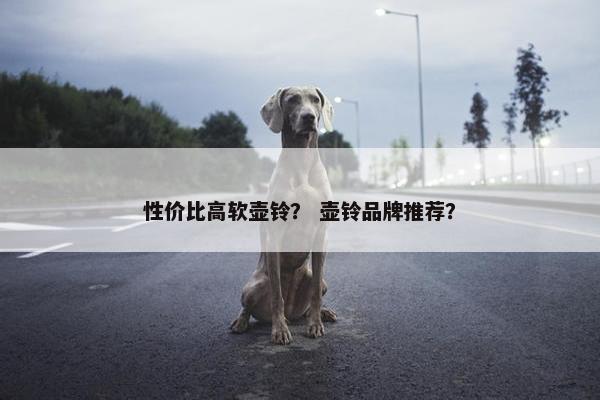 性价比高软壶铃？ 壶铃品牌推荐？