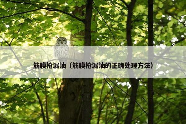 筋膜枪漏油（筋膜枪漏油的正确处理方法）