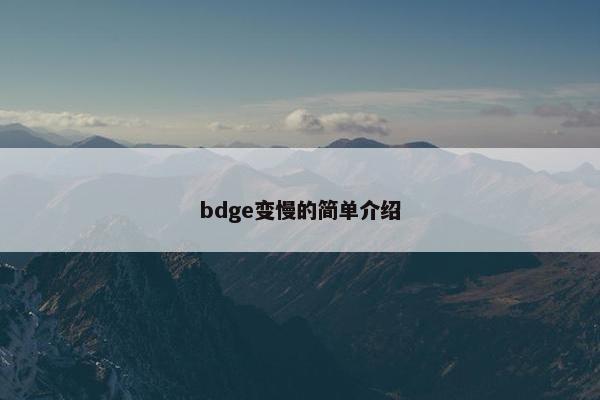 bdge变慢的简单介绍