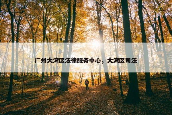 广州大湾区法律服务中心，大湾区司法