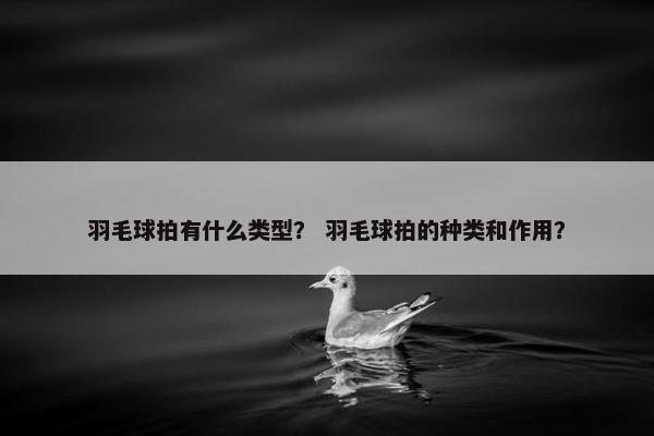 羽毛球拍有什么类型？ 羽毛球拍的种类和作用？