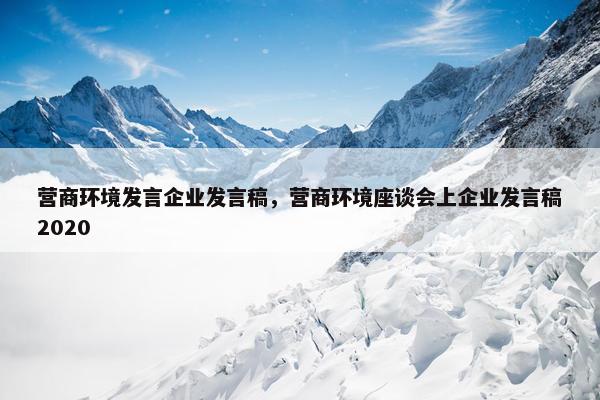 营商环境发言企业发言稿，营商环境座谈会上企业发言稿2020