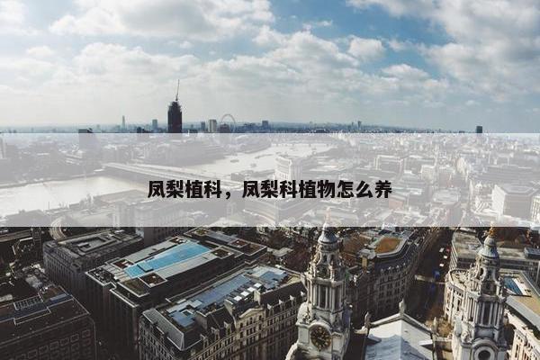 凤梨植科，凤梨科植物怎么养