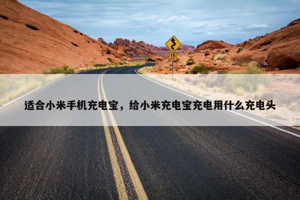 适合小米手机充电宝，给小米充电宝充电用什么充电头