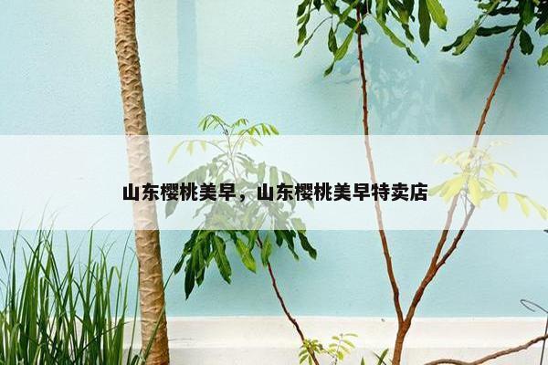 山东樱桃美早，山东樱桃美早特卖店