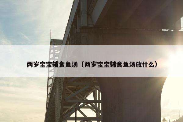 两岁宝宝辅食鱼汤（两岁宝宝辅食鱼汤放什么）