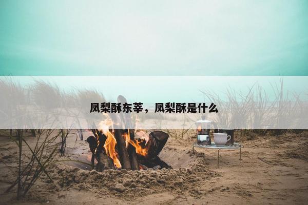 凤梨酥东莘，凤梨酥是什么