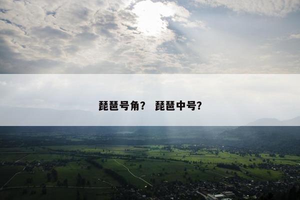 琵琶号角？ 琵琶中号？