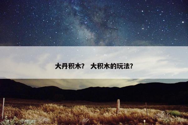 大丹积木？ 大积木的玩法？