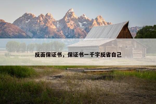 反面保证书，保证书一千字反省自己