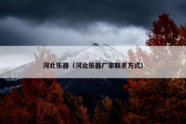 河北乐器（河北乐器厂家联系方式）