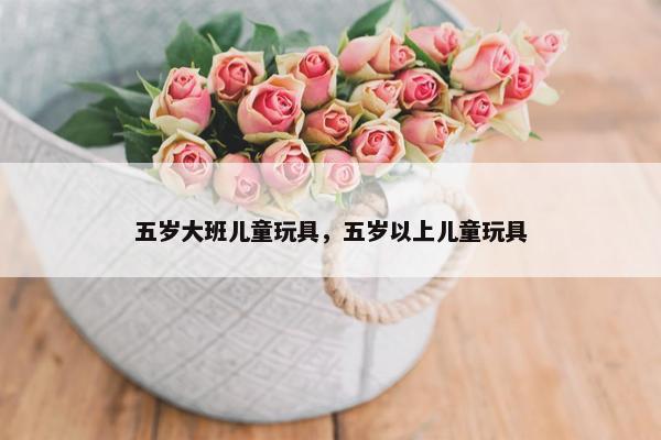 五岁大班儿童玩具，五岁以上儿童玩具