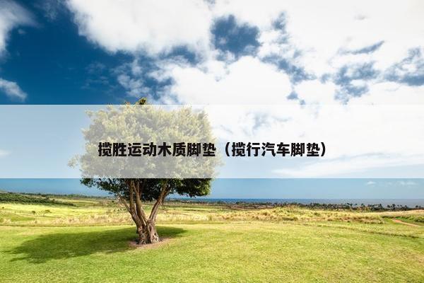 揽胜运动木质脚垫（揽行汽车脚垫）