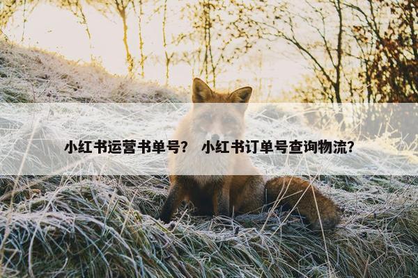 小红书运营书单号？ 小红书订单号查询物流？