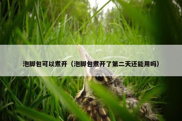 泡脚包可以煮开（泡脚包煮开了第二天还能用吗）