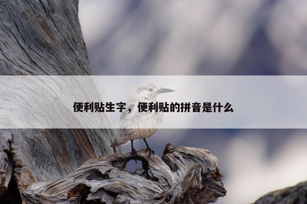便利贴生字，便利贴的拼音是什么