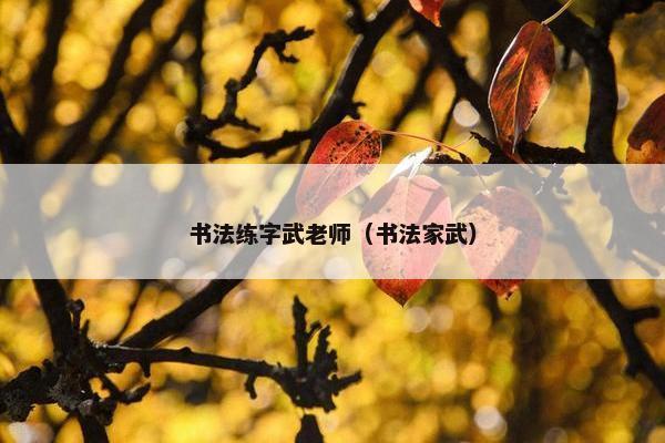 书法练字武老师（书法家武）