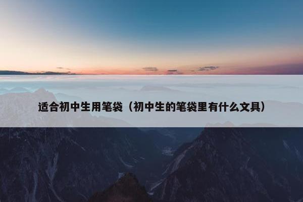适合初中生用笔袋（初中生的笔袋里有什么文具）