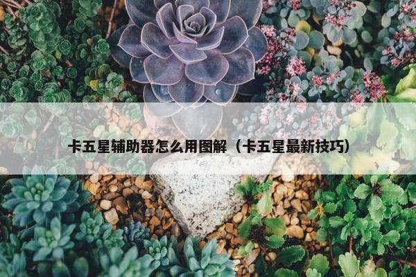 卡五星辅助器怎么用图解（卡五星最新技巧）