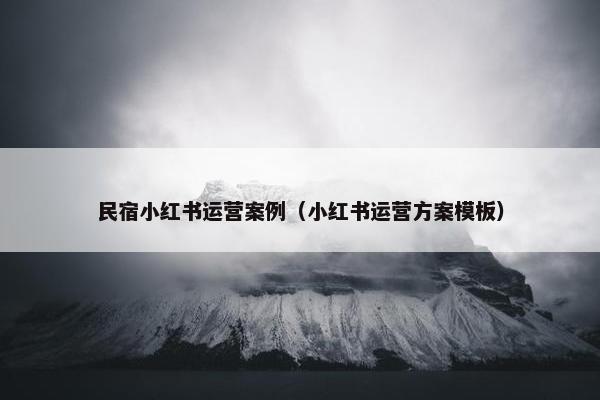 民宿小红书运营案例（小红书运营方案模板）
