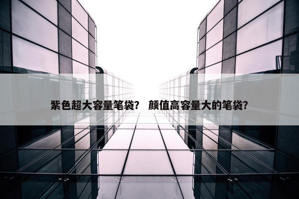 紫色超大容量笔袋？ 颜值高容量大的笔袋？