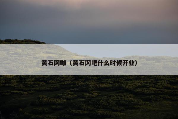 黄石网咖（黄石网吧什么时候开业）