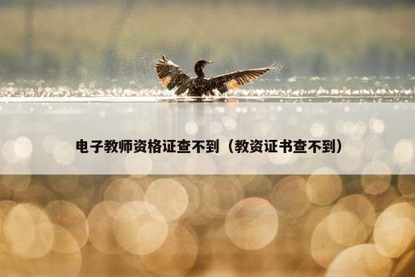 电子教师资格证查不到（教资证书查不到）