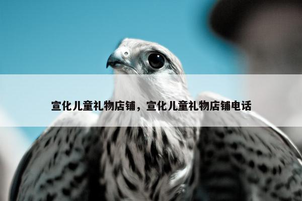 宣化儿童礼物店铺，宣化儿童礼物店铺电话