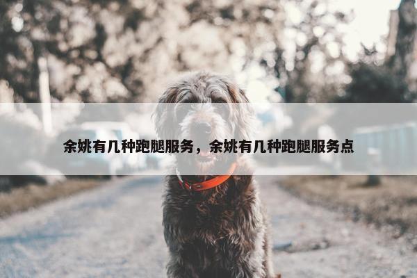余姚有几种跑腿服务，余姚有几种跑腿服务点