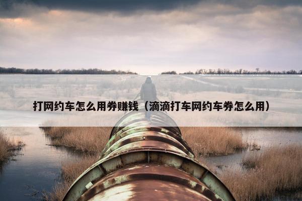打网约车怎么用券赚钱（滴滴打车网约车券怎么用）