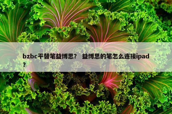 bzbc平替笔益博思？ 益博思的笔怎么连接ipad？