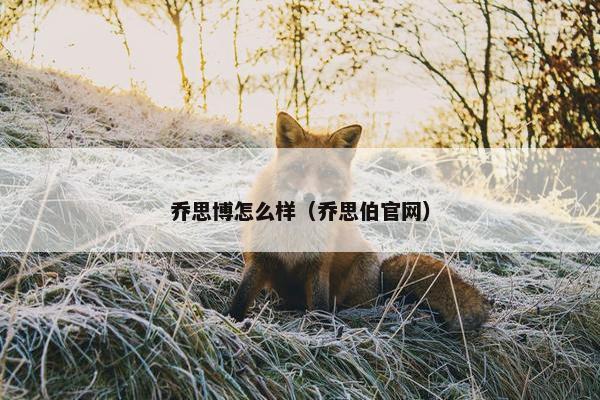 乔思博怎么样（乔思伯官网）