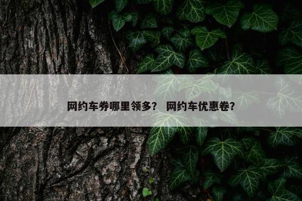 网约车券哪里领多？ 网约车优惠卷？