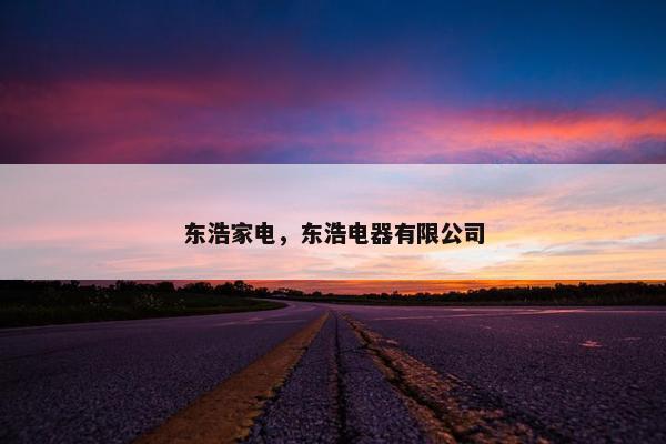 东浩家电，东浩电器有限公司