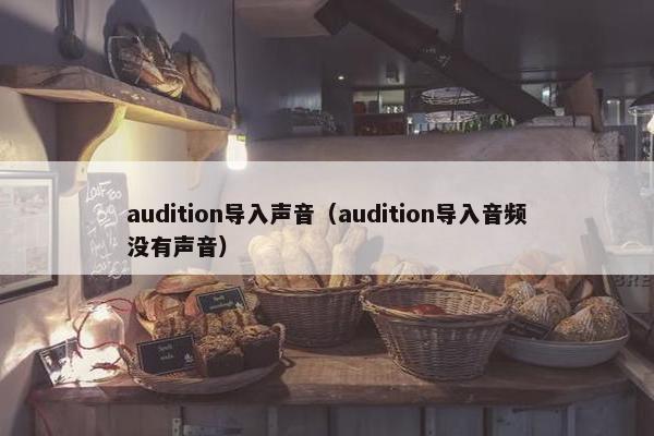 audition导入声音（audition导入音频没有声音）