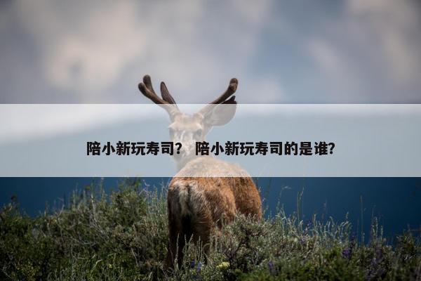陪小新玩寿司？ 陪小新玩寿司的是谁？