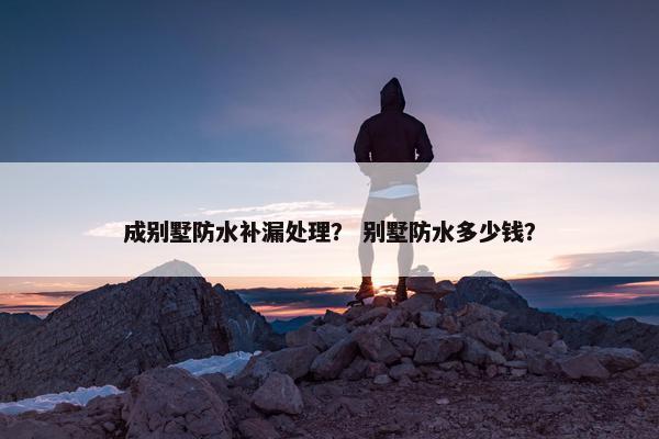 成别墅防水补漏处理？ 别墅防水多少钱？