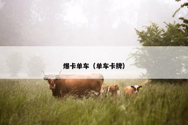 爆卡单车（单车卡牌）