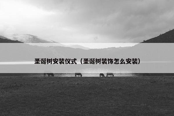 圣诞树安装仪式（圣诞树装饰怎么安装）