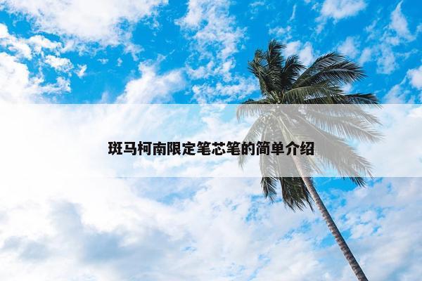 斑马柯南限定笔芯笔的简单介绍