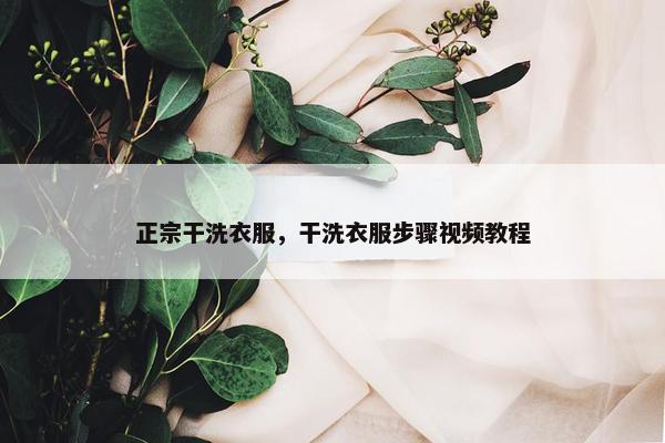 正宗干洗衣服，干洗衣服步骤视频教程