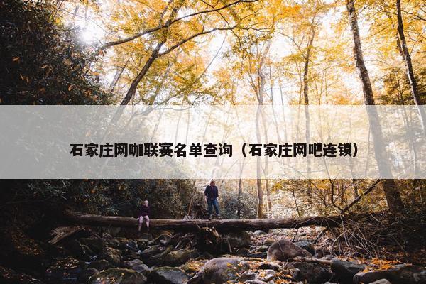 石家庄网咖联赛名单查询（石家庄网吧连锁）