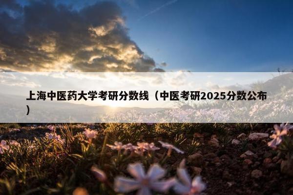 上海中医药大学考研分数线（中医考研2025分数公布）